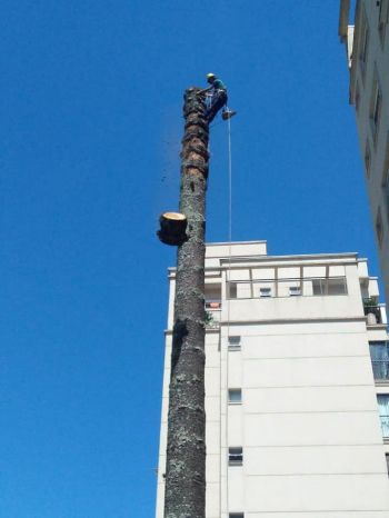 Empresa corte certo. Guia de empresas e servios