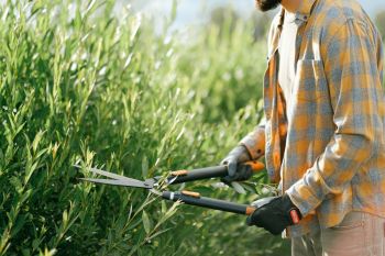 Espao verde. Guia de empresas e servios