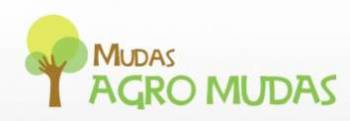 Mudas de plantas frutferas - mudas agro mudas. Guia de empresas e servios