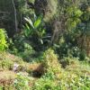 Terreno/Lote  venda, 70 m por R$ 12.000,00